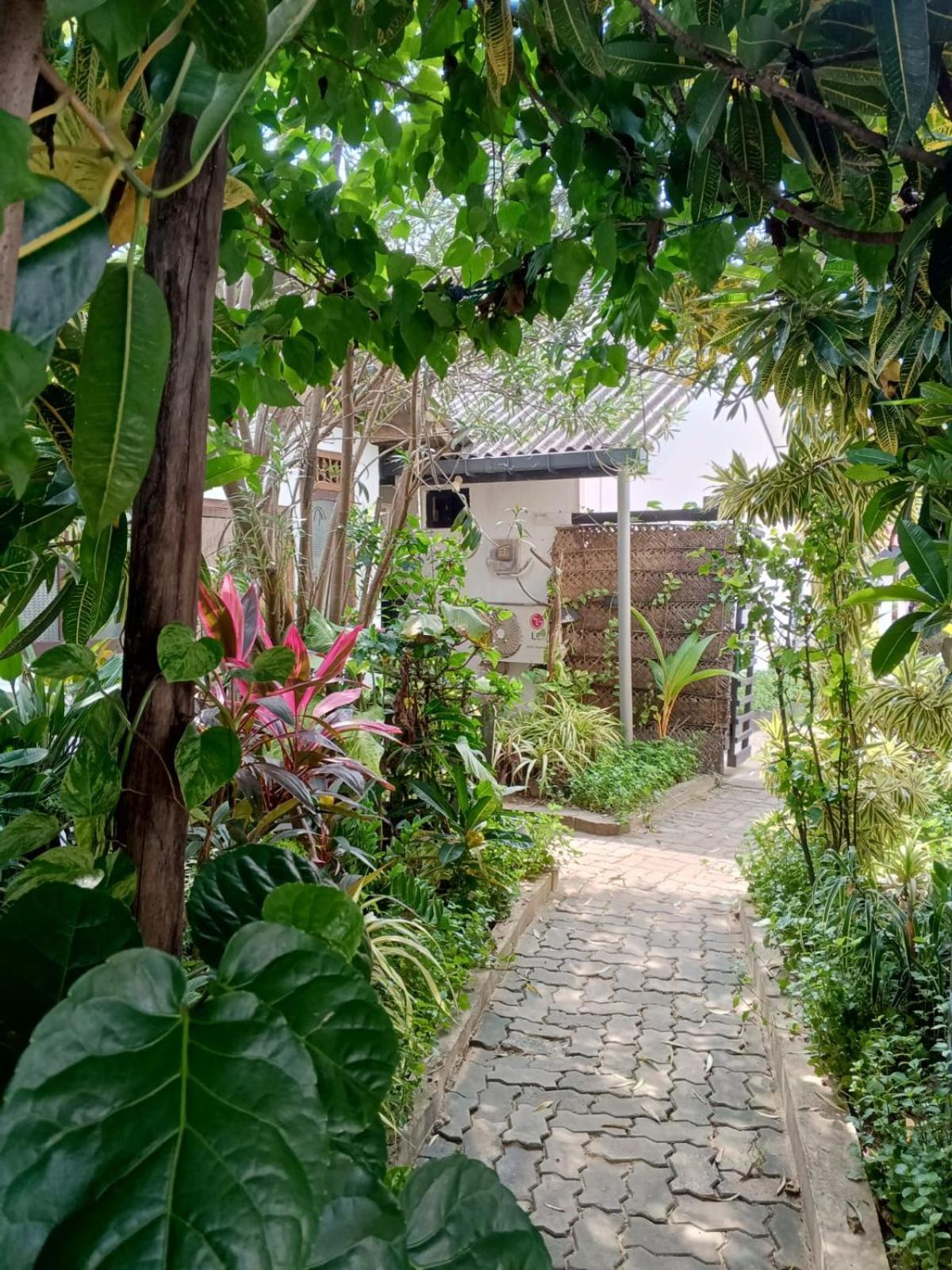 Yes Beach House ミリッサ エクステリア 写真